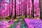 Beautiful infrared view into a purple fantasy forest