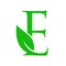 Beautiful Initial letter E leaf