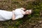 Beautiful innocent woman in white dress lying on the grass