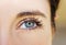 A beautiful insightful look woman`s eye. Close up shot