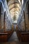 Beautiful interior of the Catholic Cathedral in Vienne, France