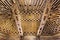 Beautiful interior of the Moorish Madrasah of Granada