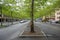 Beautiful Interlaken street with fresh green trees and colorful buildings for background