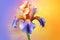 Beautiful iris flower on a colorful background. 3d illustration