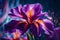 Beautiful iris flowers on a dark background