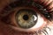 Beautiful iris of human eye gray green closeup