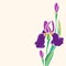 Beautiful Irises â€“ Illustration