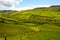 Beautiful Irish countryside with emerald green fields and meadows