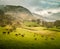 A beautiful irish mountain landscape in spring with sheep.