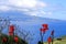 The Beautiful Isla Faial at the Azores Portugal and Pico