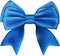 Beautiful Isolated Blue Bow