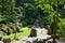 A beautiful Japanese garden explored on a sunny summer day.
