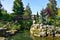 Beautiful Japanese garden, wonderful trees, plants, water and stones.