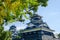 Beautiful Japanese Kumamoto Castle in Autumn