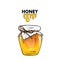 A beautiful jar of honey covered with a napkin with a bow of rope. Realistic illustration with objects isolated on a white.