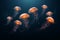 Beautiful jellyfish on dark background,sea underwater mine