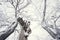 Beautiful Jesus Christ crucifix statue cover with snow, tree in background, cloudy winter day, religious meditation