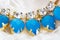 Beautiful jewelry blue stones