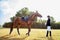 Beautiful jockey girl stand next to her horse.