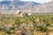 Beautiful Joshua Tree Landscape with Mounntains