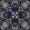 Beautiful kaleidoscope a Flower Floral pattern bg