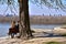 Beautiful Kalemegdan Park on a Sunny, Winter`s Day - Two Lovers Sitting on a Bench