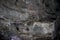 Beautiful karst cave. Rock formations in the cave, stalactites and stalagmites. Abstract gray grunge background. Stone texture