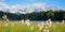 Beautiful karwendel mountains, lake Geroldsee and forest, rarely bogbean flowers in the front