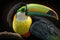 Beautiful Keel-billed Toucan Close Up. Colorful and Vibrant Animal.