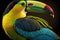 Beautiful Keel-billed Toucan Close Up. Colorful and Vibrant Animal.