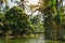Beautiful Kerala backwaters and palm tree landscape