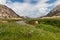 Beautiful Kerrick Meadows, Yosemite National Park