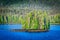 Beautiful ketchikan alaska mountain range landscapes