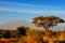 Beautiful Kilimanjaro mountain after sunrise in morning, Kenya, Africa