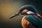 Beautiful Kingfisher (Alcedo atthis) bird portrait.