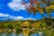 Beautiful Kinkakuji temple with golden pavillion in Kyoto japan