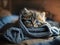 Beautiful Kitten with a Blanket . AI generated Illustration