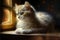 beautiful kitty looking through the window on a dark background made with Generative AI