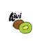 Beautiful kiwi. Vector illustration. Tropical fruits.