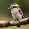 Beautiful kookaburra perched on a tree branch - ai generated image