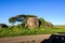 Beautiful Kopje with trees and shrubs in a savanna landscape, safari vehicle shadow, Nomiri Plains, Serengeti National Park