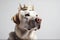 Beautiful Labrador Retriever Dog In Gold Crown On White Background. Generative AI