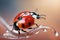 Beautiful ladybug macro ai generated image