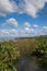 Beautiful Lake Apopka located in Central Florida with clouds and deep blue sky on a magnificent day