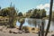 Beautiful lake at Auckland Botanic Gardens, North Island, New Zealand