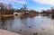 Beautiful lake with birds in Royal Baths Park Lazienki Park in spring. Warsaw, Poland