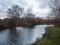 beautiful lake country autumn swans family cygnets swimming floating along