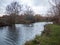 beautiful lake country autumn swans family cygnets swimming floating along