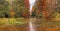 Beautiful lake covered in abundant vegetation