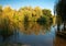 Beautiful lake with ducks at sunny summer day